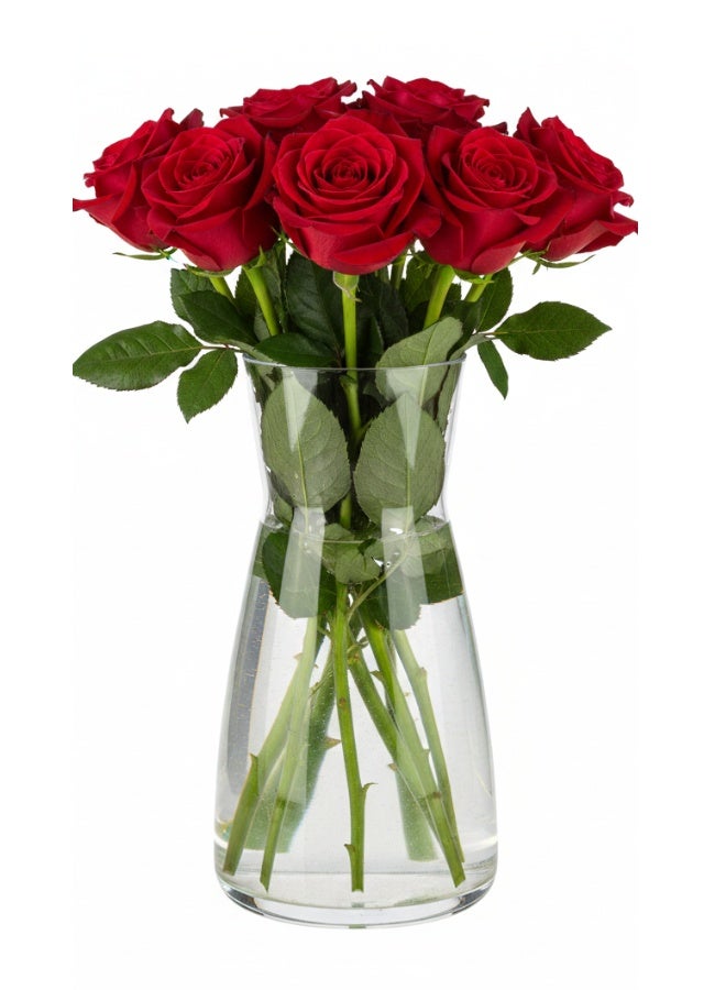 Modern Minimalist Glass Vase 1 Liter – Stylish Clear Flower Vase for Living Room, Dining Table, Kitchen Counter and Wedding Decor - Image 1